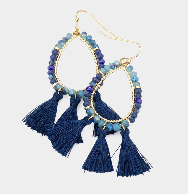 Classy Tassel Earrings